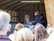 WG061023-21 - Warren Greatrex stable vist